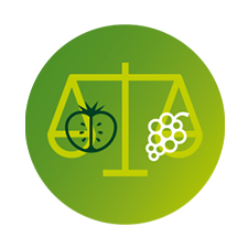 Frukt och gr&ouml;nsaker