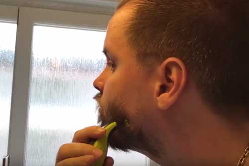 Se n&auml;r sk&auml;gget f&ouml;rsvinner med hj&auml;lp av OneBlade