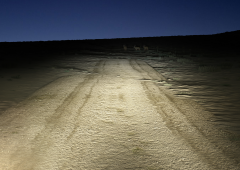 Ultinon Classic Comparison