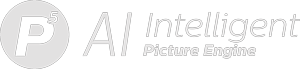 Picture Engine-logo