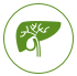 Gallbladder (Gallebl&aelig;re)