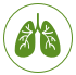 Lung (Lunge)