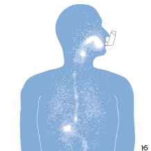 Bare inhalator